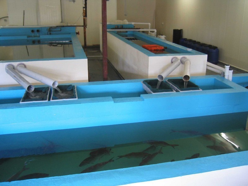 18 Medea Cove Esplanade, St Helens TAS 7216