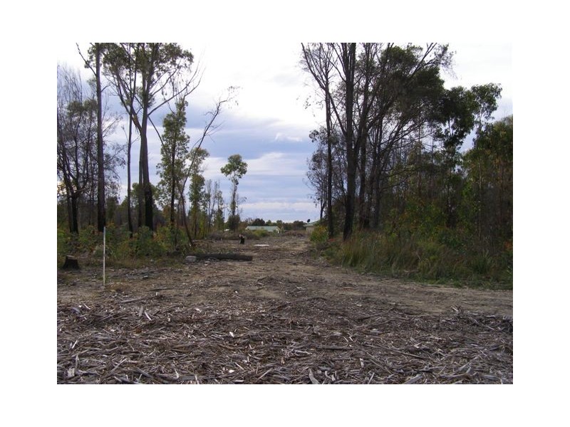 Oberon Place, Scamander TAS 7215