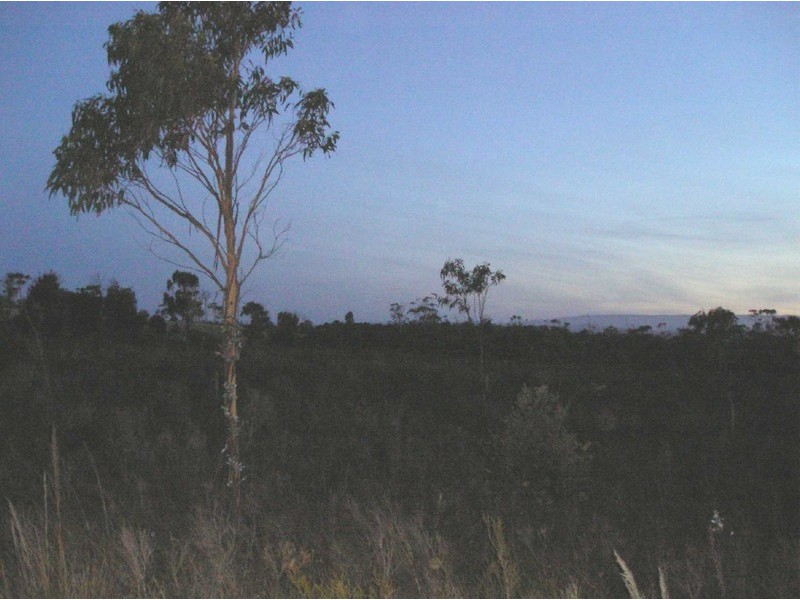 Lots 20 and 32 North Ansons Road, Ansons Bay TAS 7216