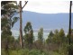 461B Gardiners Creek Road, St Marys TAS 7215