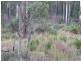461B Gardiners Creek Road, St Marys TAS 7215