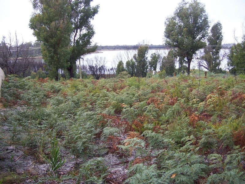 Lot 2 Tasman Highway, Scamander TAS 7215