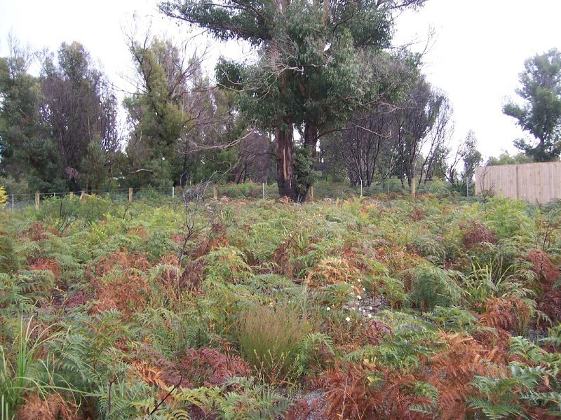 Lot 2 Tasman Highway, Scamander TAS 7215