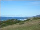 25a  Morrison Street, Falmouth TAS 7215