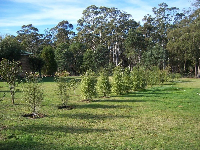 Lot 1 Eastern Creek Road, Upper Scamander TAS 7215