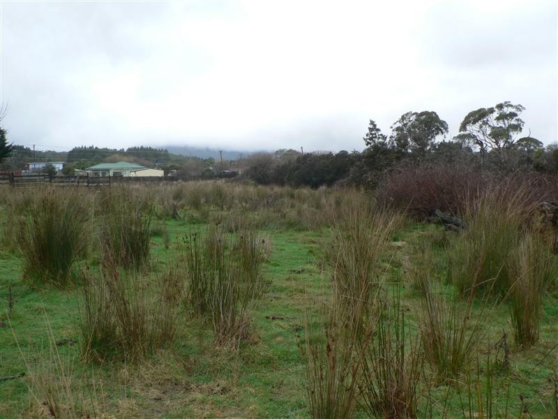 Clive Street, St Marys TAS 7215