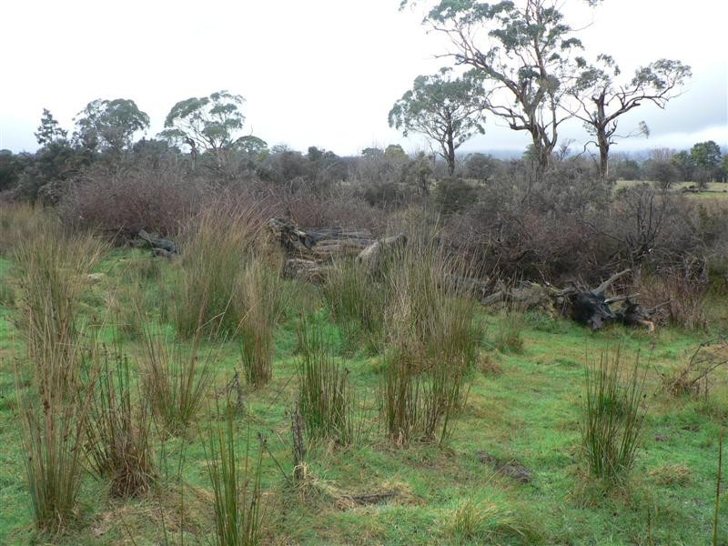 Clive Street, St Marys TAS 7215