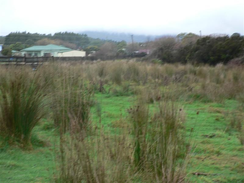 Clive Street, St Marys TAS 7215