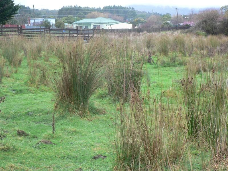 Clive Street, St Marys TAS 7215