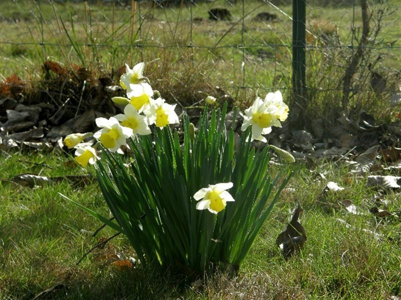 117 Eastern Creek Road, Upper Scamander TAS 7215