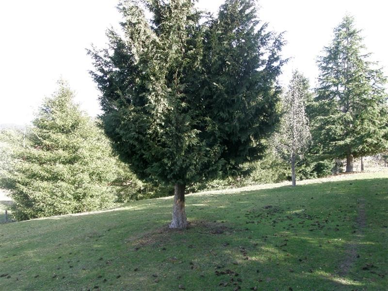 117 Eastern Creek Road, Upper Scamander TAS 7215