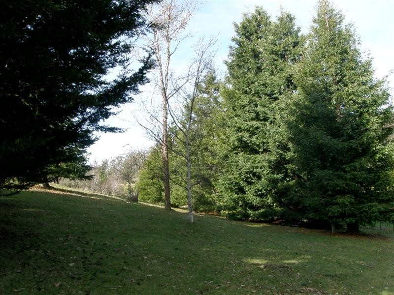 117 Eastern Creek Road, Upper Scamander TAS 7215