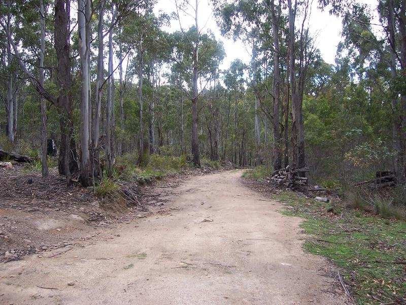 Lot 4 Main Esk Road, St Marys TAS 7215