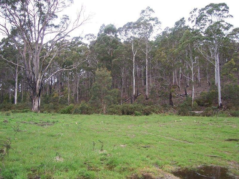 Lot 4 Main Esk Road, St Marys TAS 7215