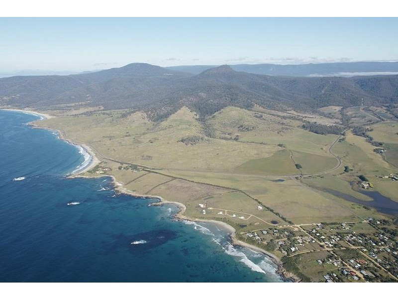 42 Stieglitz Street, Falmouth TAS 7215
