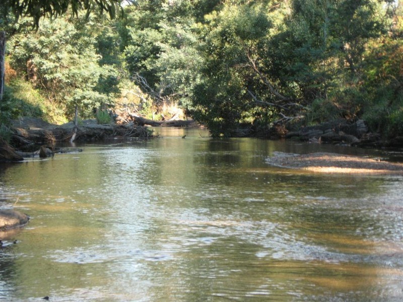 70 Terry’s Hill Road, Goshen TAS 7216