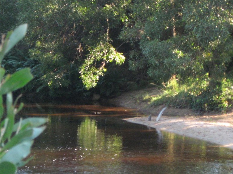 70 Terry’s Hill Road, Goshen TAS 7216