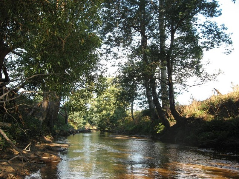 70 Terry’s Hill Road, Goshen TAS 7216