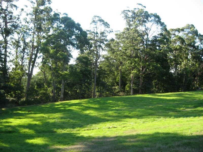 70 Terry’s Hill Road, Goshen TAS 7216