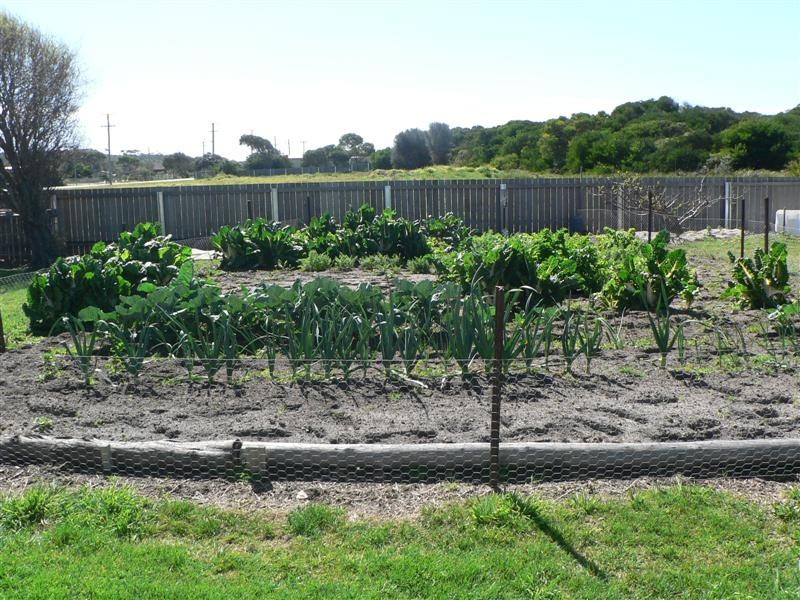 23-25 Scamander Avenue, Scamander TAS 7215