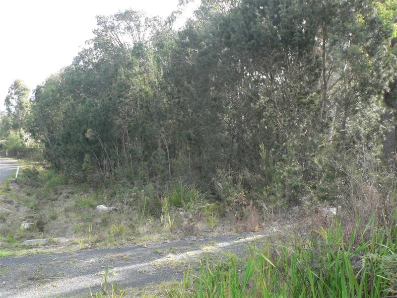 22 Cleland Drive, St Helens TAS 7216