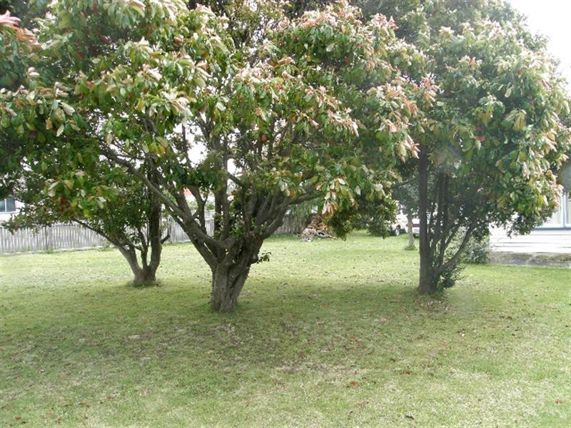 30 Circassian Street, St Helens TAS 7216