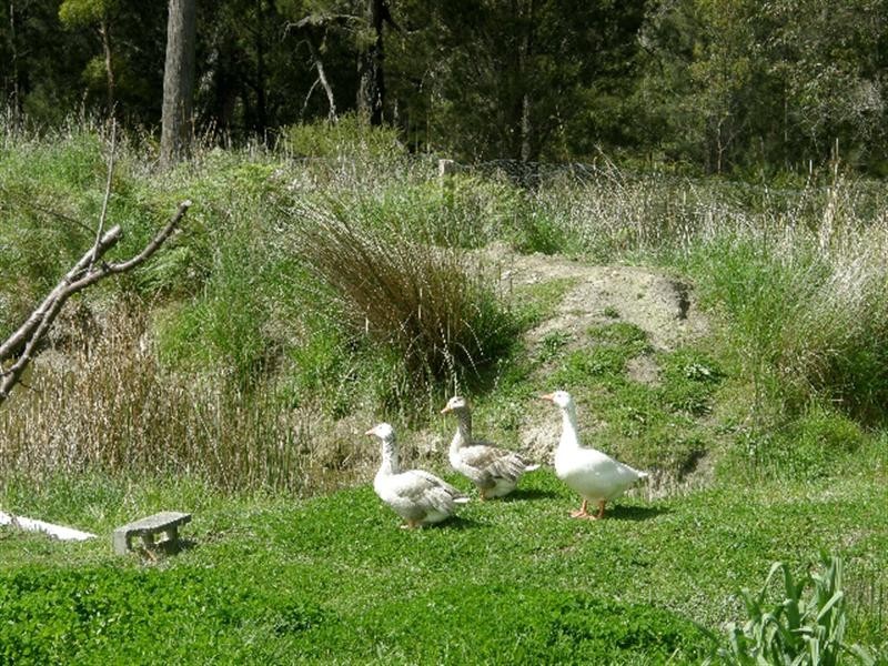 531 Binalong Bay Road, St Helens TAS 7216