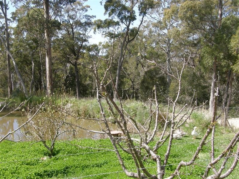 531 Binalong Bay Road, St Helens TAS 7216