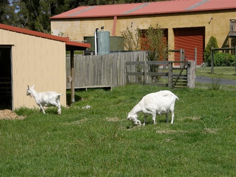 531 Binalong Bay Road, St Helens TAS 7216