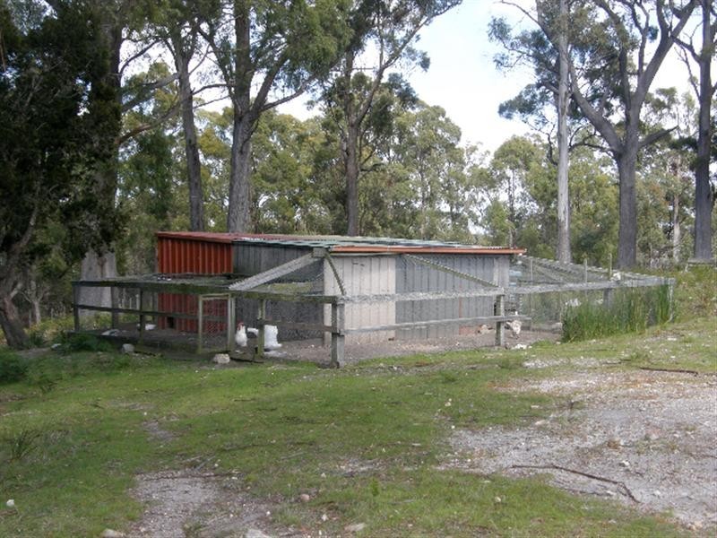 531 Binalong Bay Road, St Helens TAS 7216