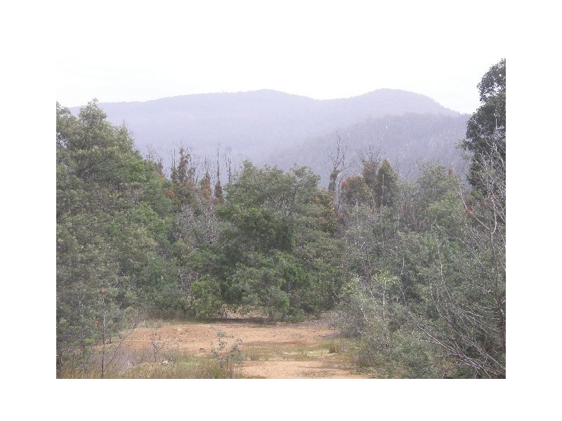 Lot 4 Davis Gully Road, Four Mile Creek TAS 7215