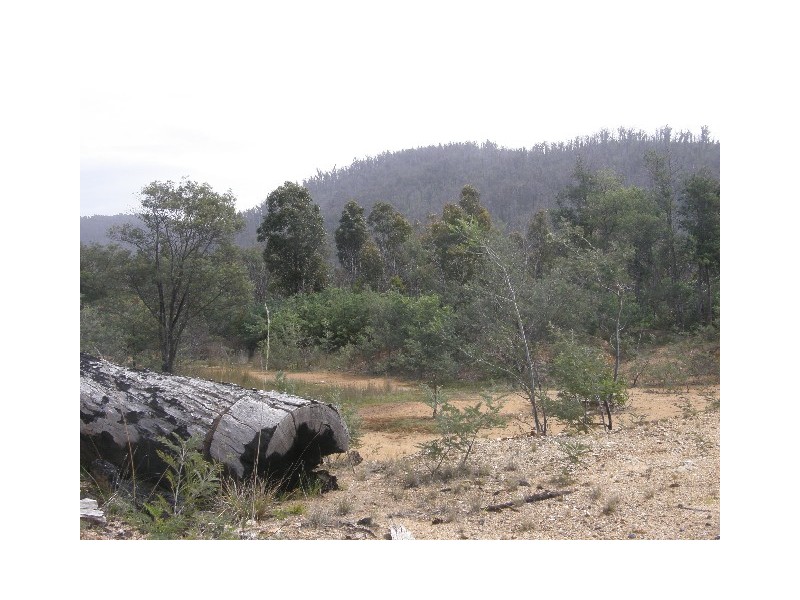 Lot 4 Davis Gully Road, Four Mile Creek TAS 7215