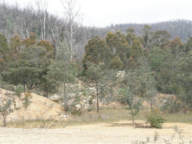 Lot 4 Davis Gully Road, Four Mile Creek TAS 7215