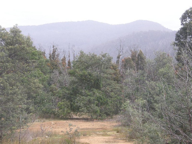 Lot 4 Davis Gully Road, Four Mile Creek TAS 7215