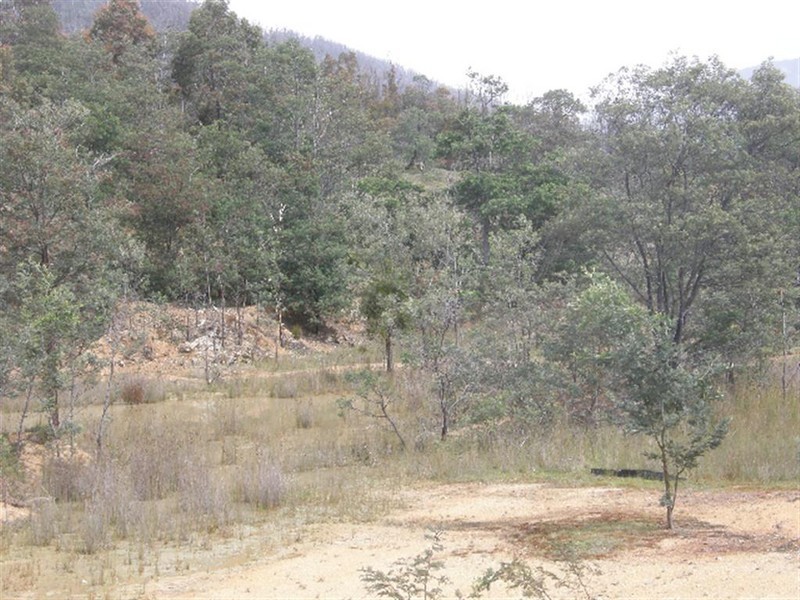 Lot 4 Davis Gully Road, Four Mile Creek TAS 7215