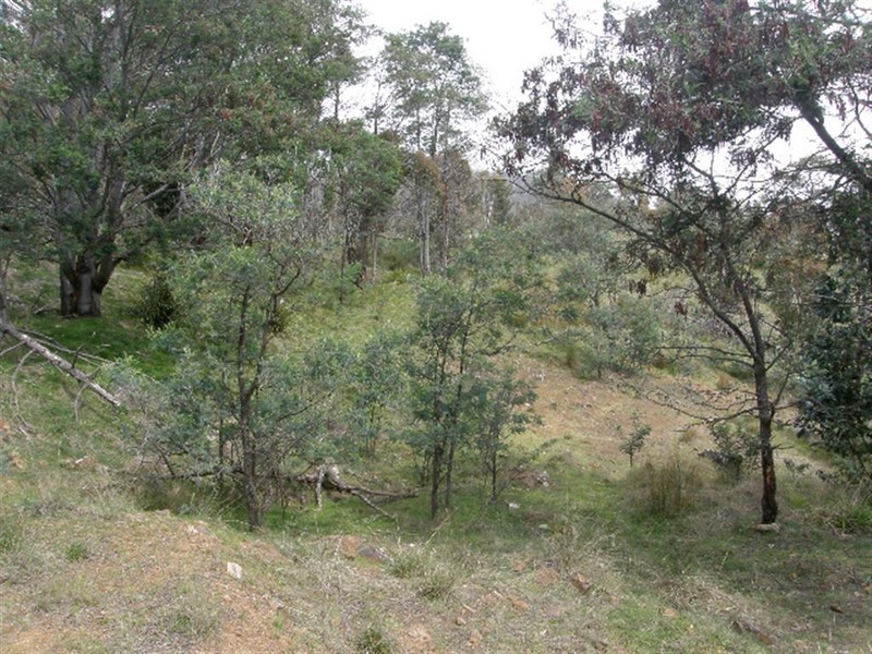 Lot 4 Davis Gully Road, Four Mile Creek TAS 7215