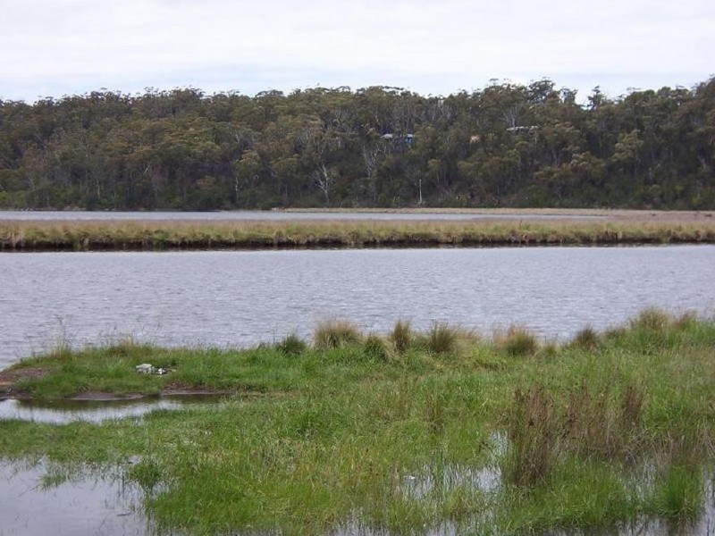 109 Upper Scamander Road, Scamander TAS 7215