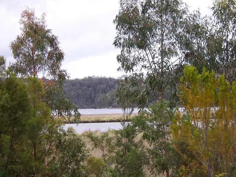 109 Upper Scamander Road, Scamander TAS 7215