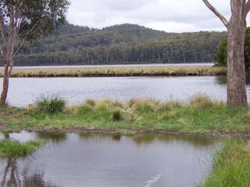 109 Upper Scamander Road, Scamander TAS 7215