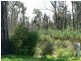 109 Upper Scamander Road, Scamander TAS 7215