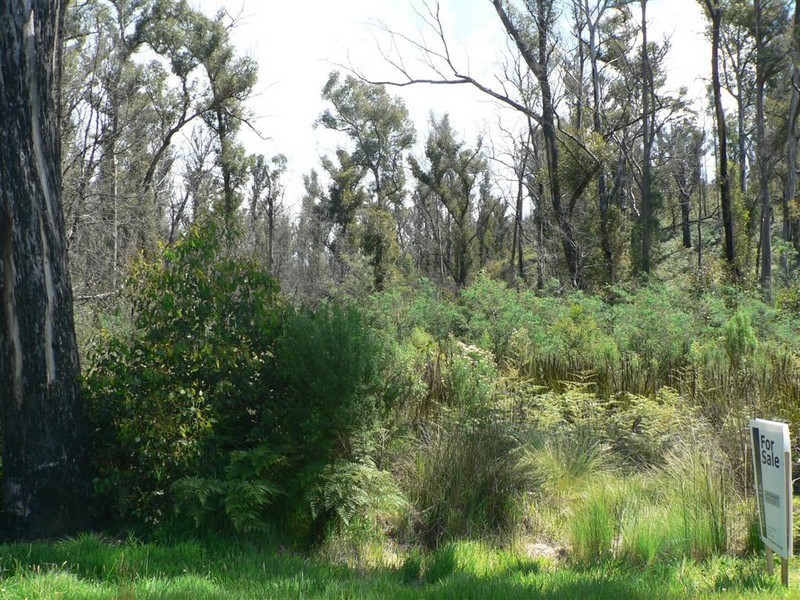 109 Upper Scamander Road, Scamander TAS 7215