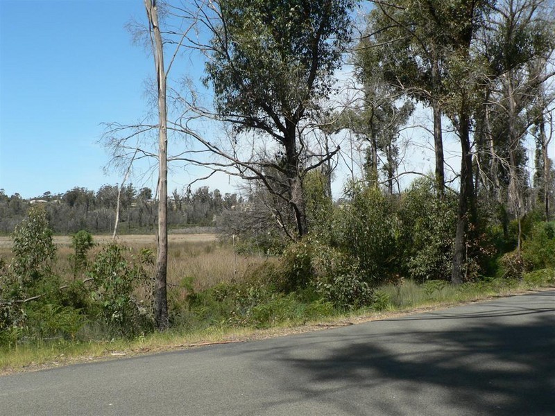 109 Upper Scamander Road, Scamander TAS 7215