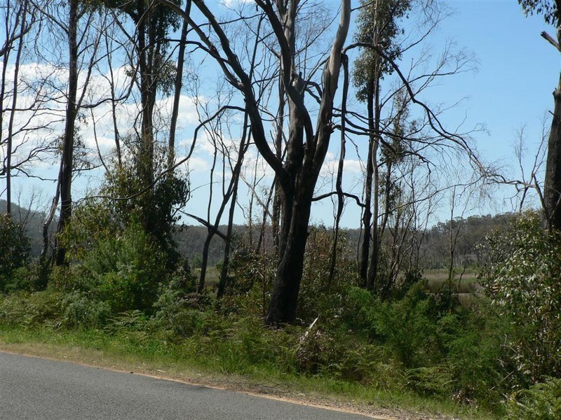 109 Upper Scamander Road, Scamander TAS 7215