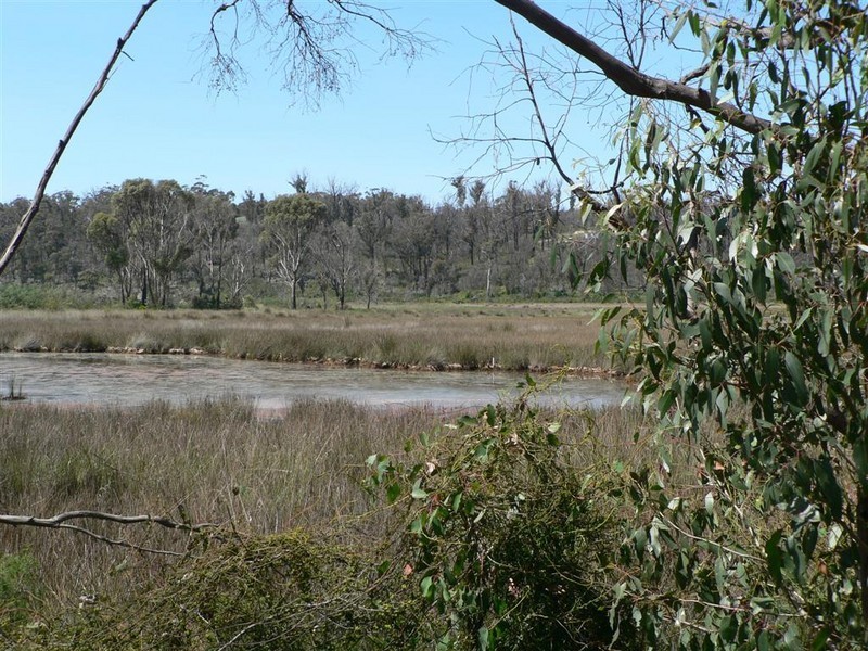 109 Upper Scamander Road, Scamander TAS 7215