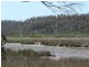 109 Upper Scamander Road, Scamander TAS 7215