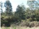 Irishtown Road, St Marys TAS 7215