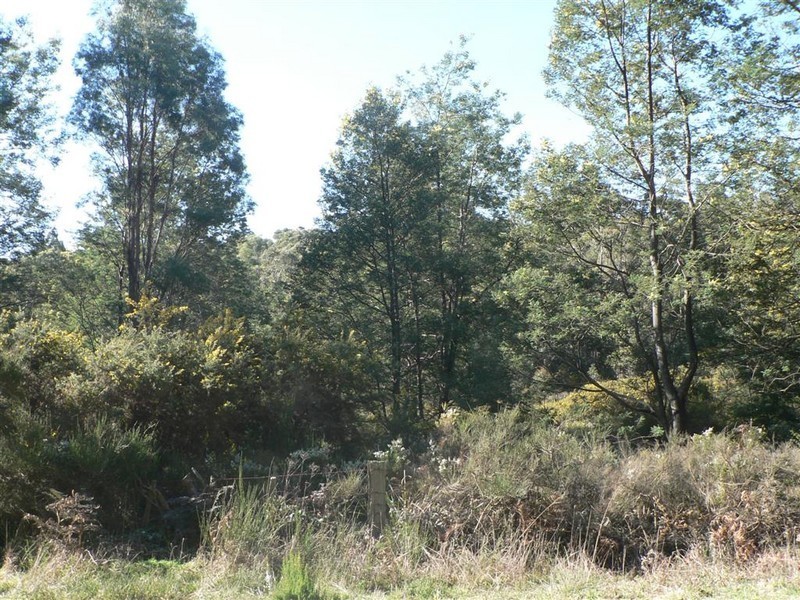 Irishtown Road, St Marys TAS 7215