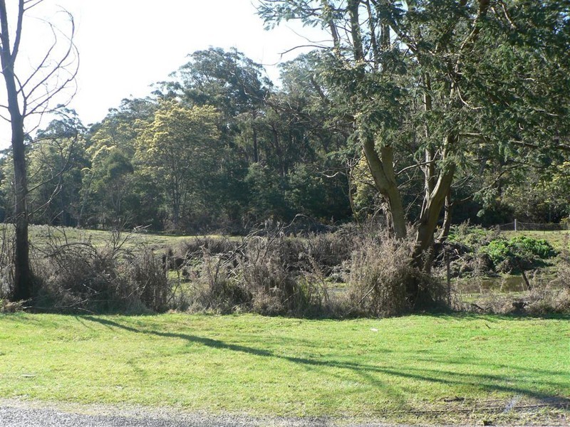 Irishtown Road, St Marys TAS 7215