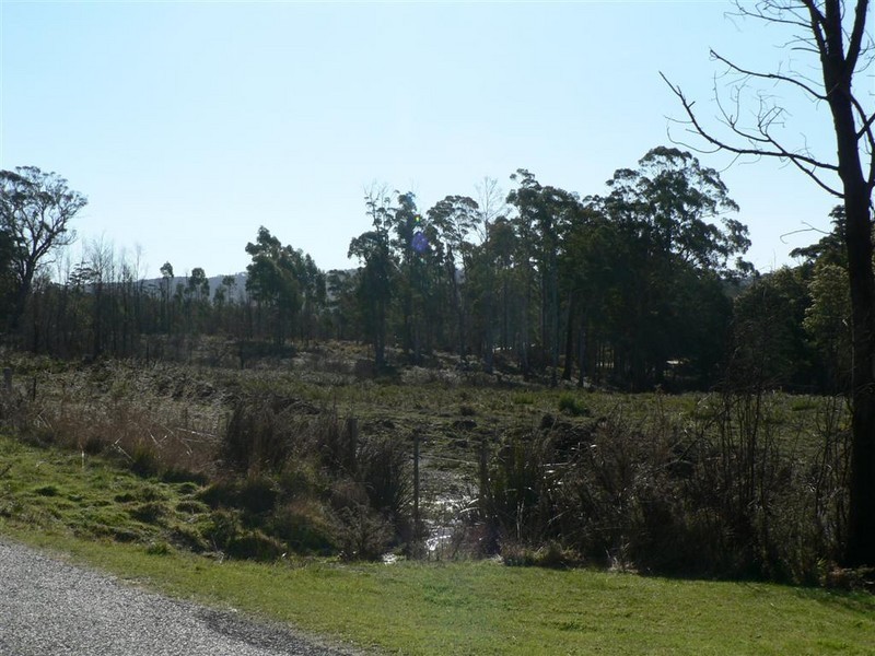 Irishtown Road, St Marys TAS 7215
