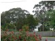 3 Falmouth Street, St Helens TAS 7216